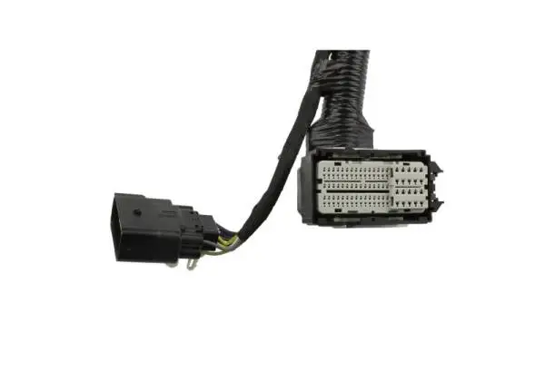 Ford Racing 5.0L Coyote Engine Harness for Automatic Transmission image 7