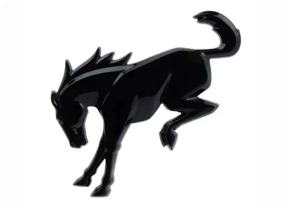 Ford Racing 2021 Bronco Rear Emblem - Black image 10