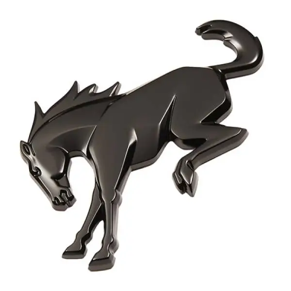 Ford Racing 2021 Bronco Rear Emblem - Black image 12