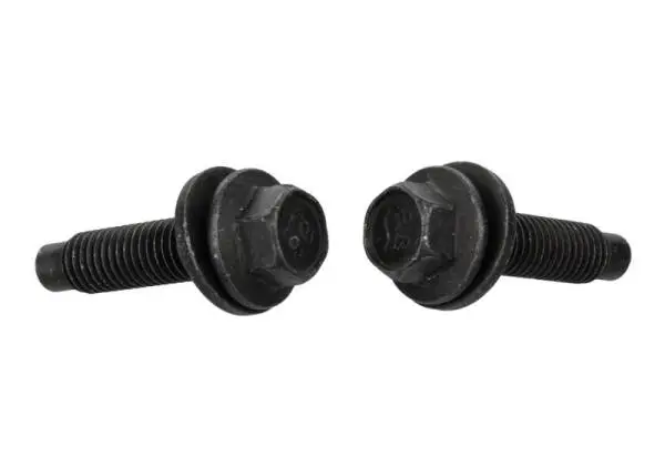 Ford Racing FPP Bead Lock Ring Bolt Kit image 6