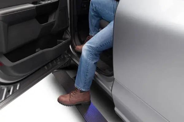 AMP Research 2015-2018 Ford F150 All Cabs PowerStep Plug N Play - Black