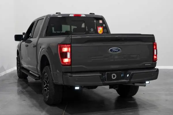 Diode Dynamics 21-22 Ford F-150 Stage Series Reverse Light Kit C2 Pro image 4