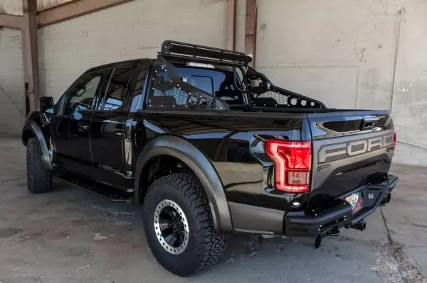 Addictive Desert Designs 17-18 Ford F-150 Raptor Race Series Chase Rack w/ 2017 Grill Pattern image 2
