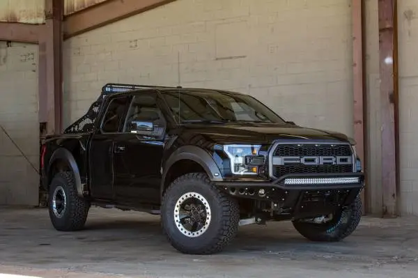 Addictive Desert Designs 17-18 Ford F-150 Raptor Race Series Chase Rack w/ 2017 Grill Pattern image 3